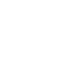 brain