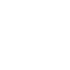 writer (1)